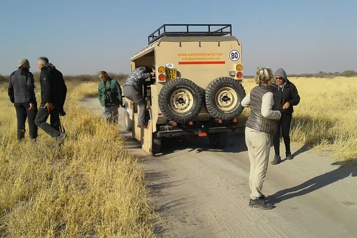 Moremi Day Trip: Okavango Delta Safari from Maun photo 2