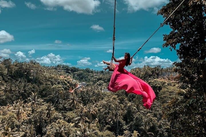 Full-Day Ubud Private Charter: Tegalalang, Waterfalls & Jungle Swing
