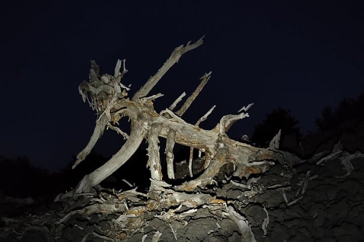 Etna Night Trekking: Sunset Hike to the 2002 Side Craters photo 5