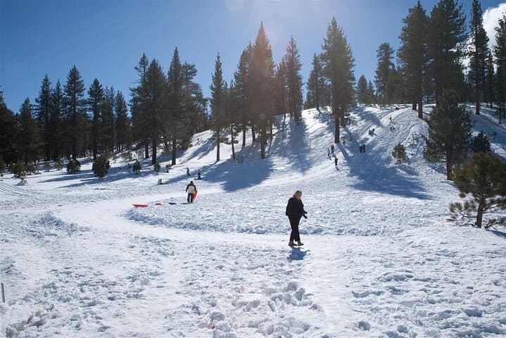 Mt. Charleston Snow Day: Self-Guided 4x4 Sledding, Snowmen & Hot Cocoa photo 2