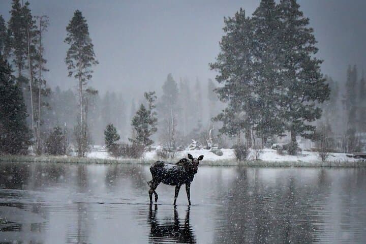 Rocky Mountain National Park Winter Wonderland: Guided 4x4 Photo & Sled Tour photo 3