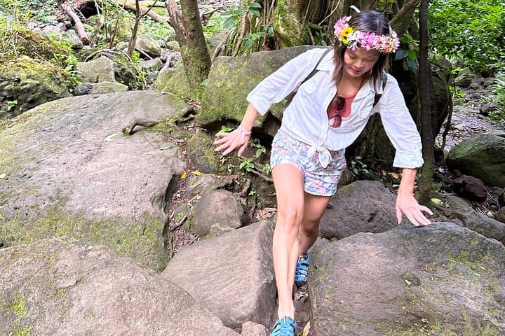 Hike to a Tropical Waterfall on Oahu — Semi‑Private Tour with Pickup photo 5