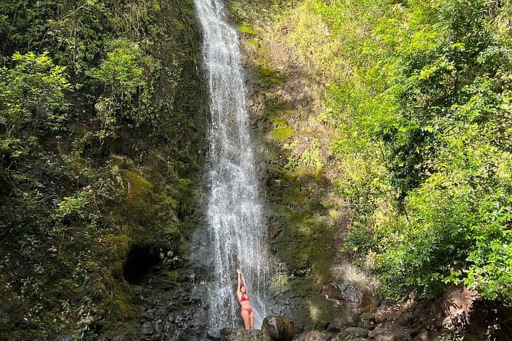 Hike to a Tropical Waterfall on Oahu — Semi‑Private Tour with Pickup