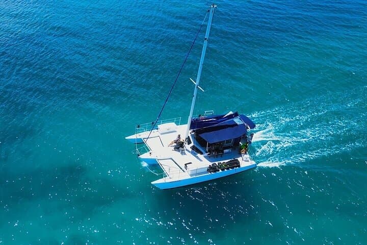 Waikiki Whale Watching: Two-Hour Trimaran Tour with Whale Guarantee photo 6
