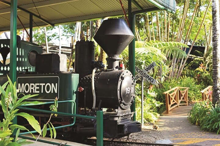 Ginger Factory & Nutworks Return Bus Transfer — Sunshine Coast Day Trip photo 5