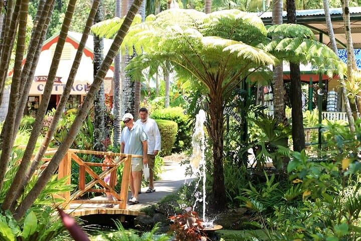 Ginger Factory & Nutworks Return Bus Transfer — Sunshine Coast Day Trip photo 3