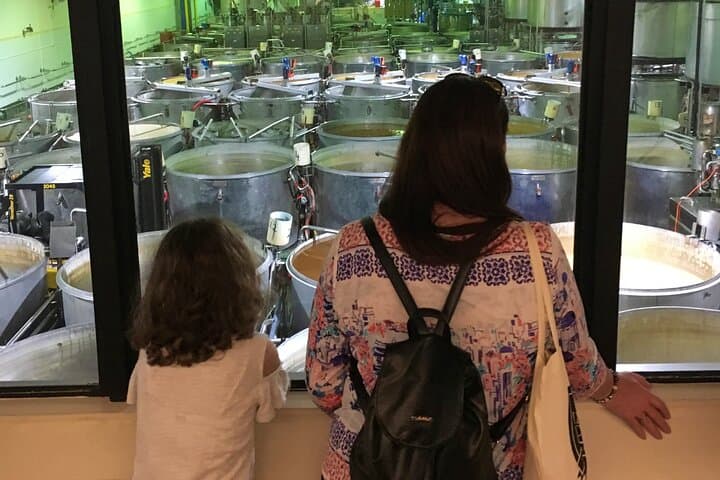 Ginger Factory & Nutworks Return Bus Transfer — Sunshine Coast Day Trip photo 2