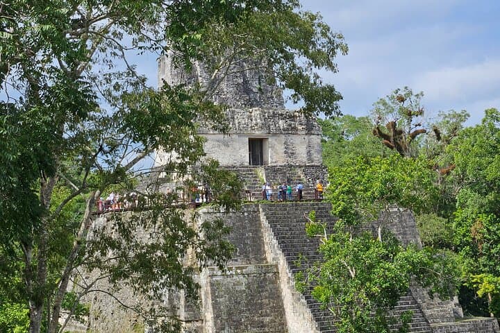 Day Trip to Tikal from Flores: Guided Tour with Lunch photo 3
