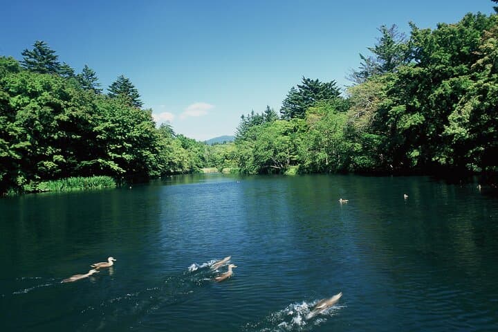 Self-Guided Karuizawa Day Trip from Tokyo by Shinkansen photo 3
