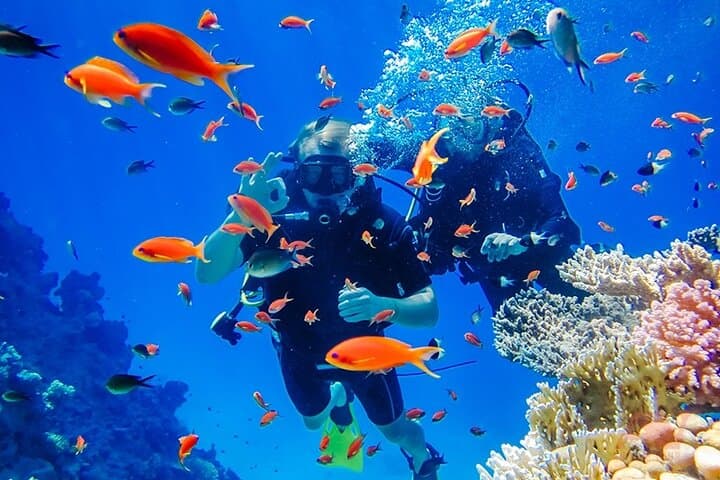 Hon Mun Island Discovery Scuba Diving — Introductory Two-Dive Experience from Nha Trang
