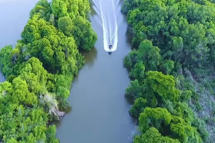 Negombo Lagoon Boat Ride: 90-Minute Wildlife & Birdwatching Tour