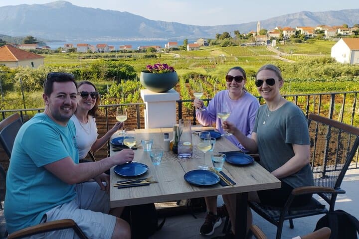 Sip Grk in Lumbarda: Korčula Wine Tasting & Vineyard Walk