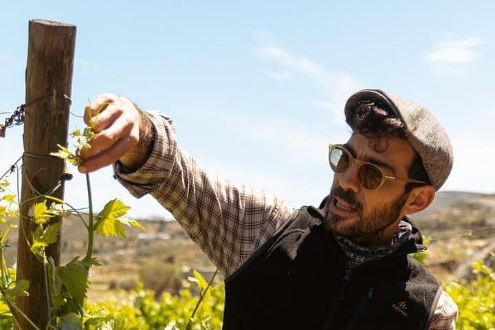 Naxos E‑Bike Tour to Halki: Citron Distillery, Vineyard Tasting & Byzantine Site photo 2