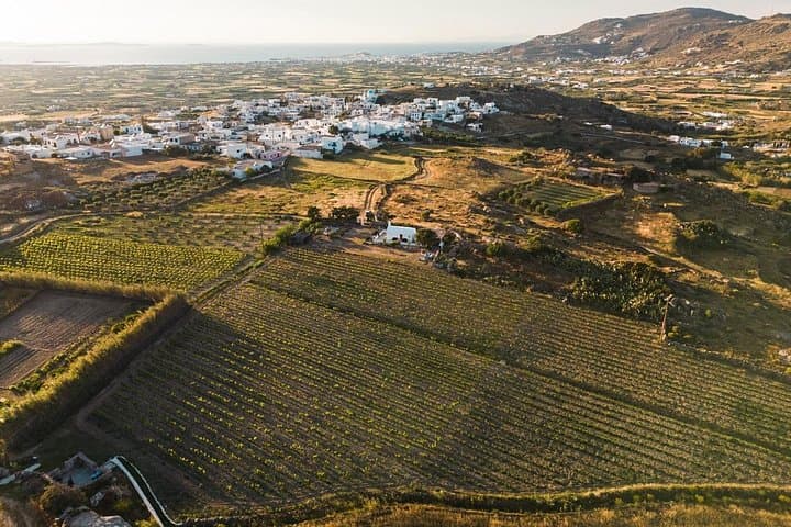Naxos E‑Bike Tour to Halki: Citron Distillery, Vineyard Tasting & Byzantine Site photo 4