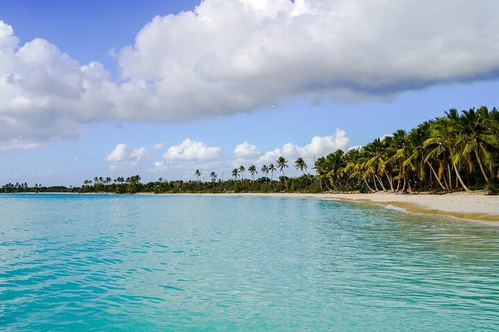 Private Saona Island Boat Tour with Snorkeling from Bayahibe photo 4