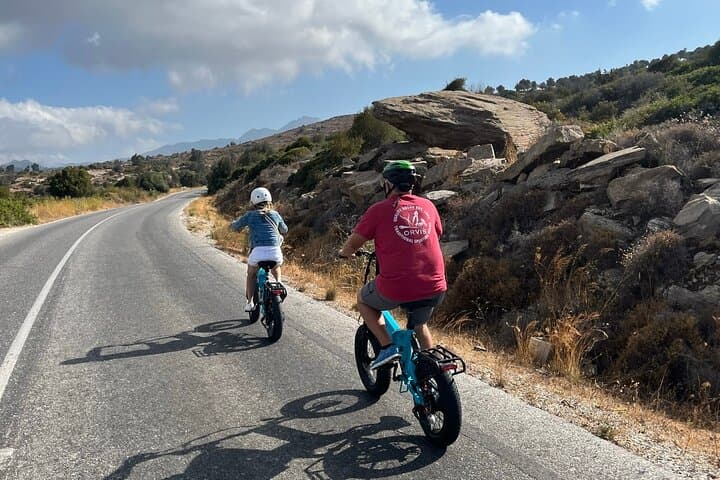 E-bike Morning Ride to Temple of Demeter and Farm Lunch on Naxos photo 4
