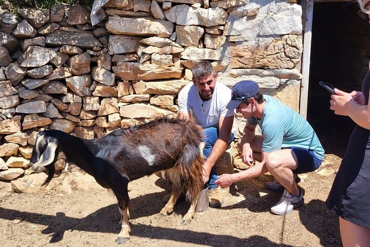 E-bike Morning Ride to Temple of Demeter and Farm Lunch on Naxos