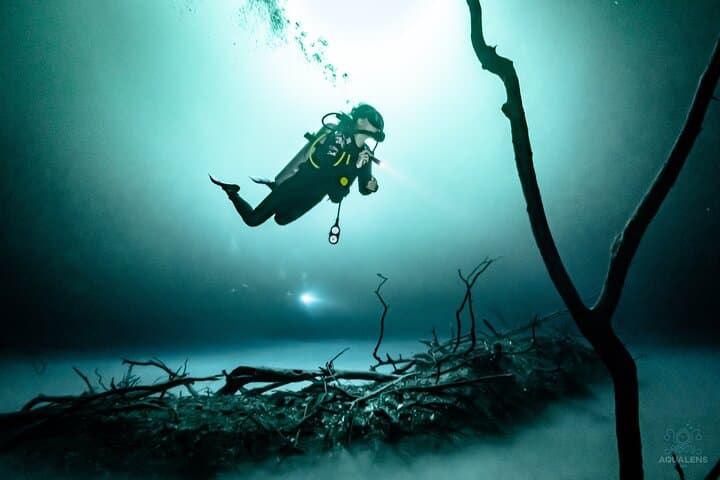 Advanced Cenote Deep Dives in Tulum: Pit & Dos Ojos Cavern Scuba photo 3