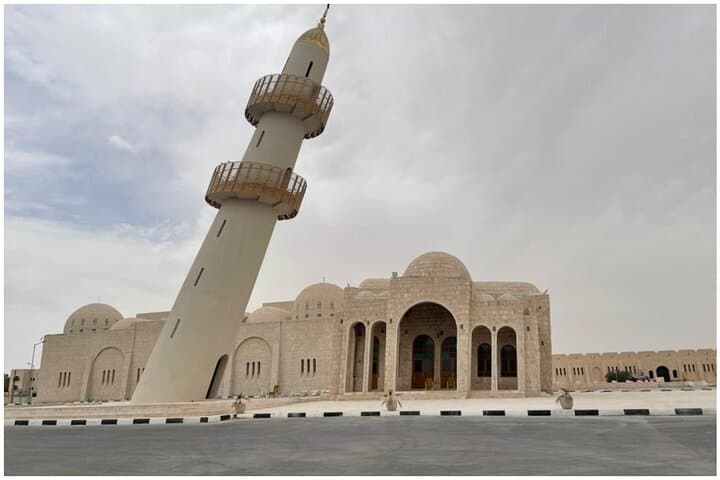 Doha Camel Racing & Sheikh Faisal Museum Tour — Oryx, Royal Stables & Cultural Treasures photo 4