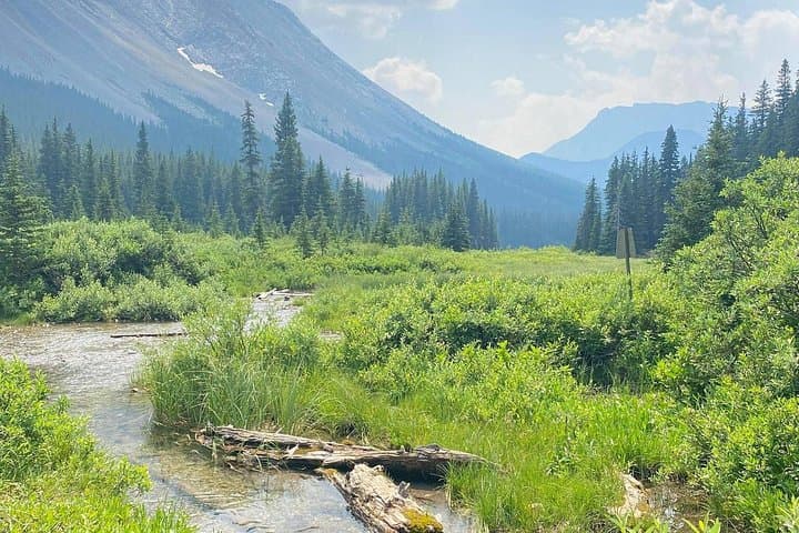 Custom Guided Hike in Canmore Kananaskis — Tailored Trails to Alpine Lakes & Waterfalls