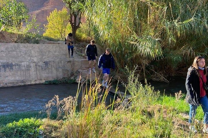 Day Trip from Marrakech to Ouzoud Falls: Full-Day Waterfall Hike, Boat Ride & Berber Lunch photo 4