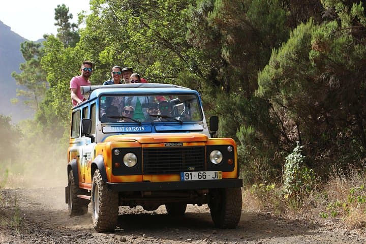 Enchanted Vineyards Wine 4x4 Tour and Cabo Girão Skywalk — Madeira Wine Safari photo 3