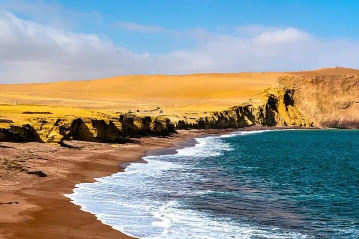Ballestas Islands & Paracas Mini-Buggy Adventure from Pisco (Cruise-Friendly) photo 6