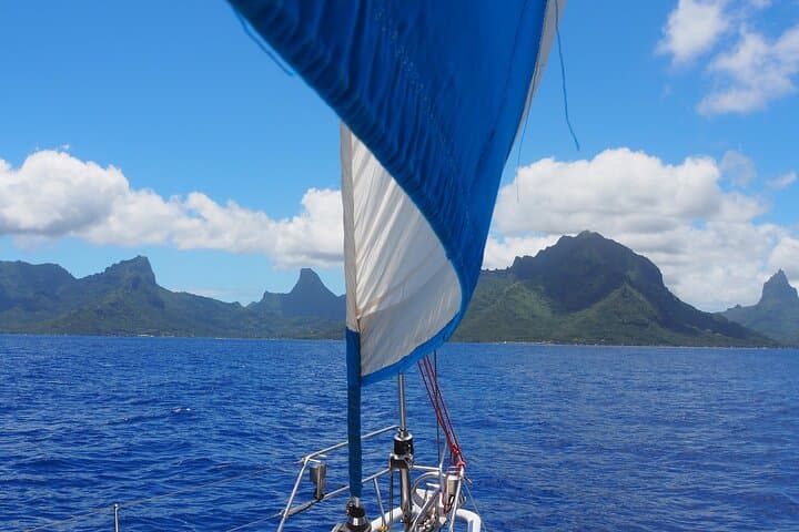Hands-On Sunset Sailing Aboard Mori Ora in Moorea photo 3