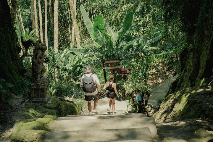 Half-Day Ubud Waterfall Tour: Tibumana, Taman Sari & Goa Rang Reng photo 4