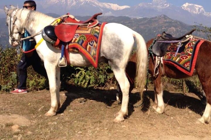 Private Pony Ride in Pokhara — Full-Day Guided Lakeside & Village Exploration photo 6