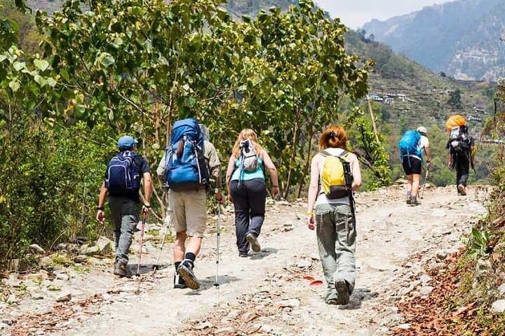 Day Hike to Shivapuri Peak from Kathmandu — Spiritual Trails & Himalayan Views photo 1
