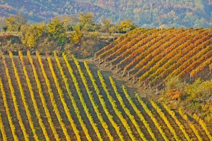 Full-Day Private Chateau Changyu Wine Tour & Mutianyu Great Wall from Beijing photo 2