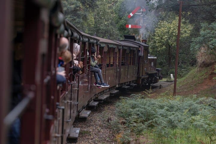 Puffing Billy Steam Train & Cherry Picking Day Tour from Melbourne photo 4
