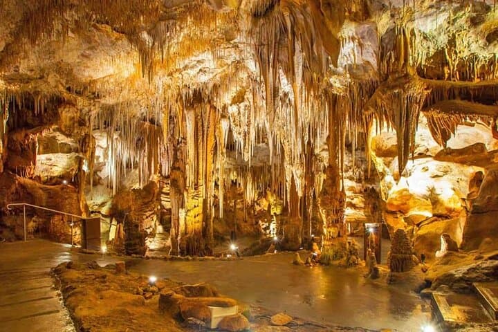 Castellana Caves and Polignano Sea-Cave Tour from Bari: Full-Day Between Land and Sea photo 4