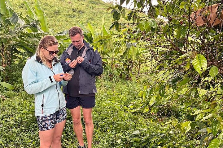 Lake Kivu Day Trip: Hike, Islands & Coffee Plantation Tour from Kigali photo 2