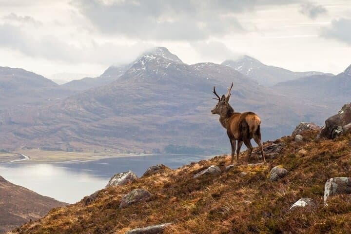 Luxury Private Highlands & Loch Ness Tour from Edinburgh — Full-Day Scenic Drive photo 3