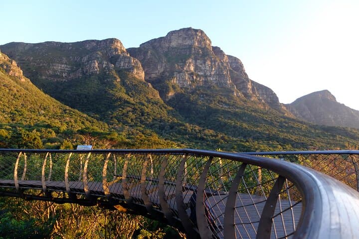 Skeleton Gorge Hike to Maclear's Beacon — Table Mountain via Kirstenbosch photo 4