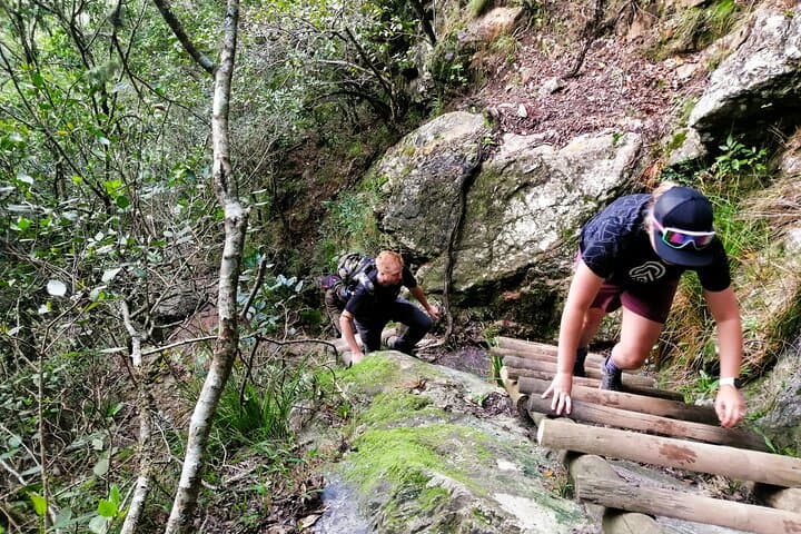Skeleton Gorge Hike to Maclear's Beacon — Table Mountain via Kirstenbosch photo 5