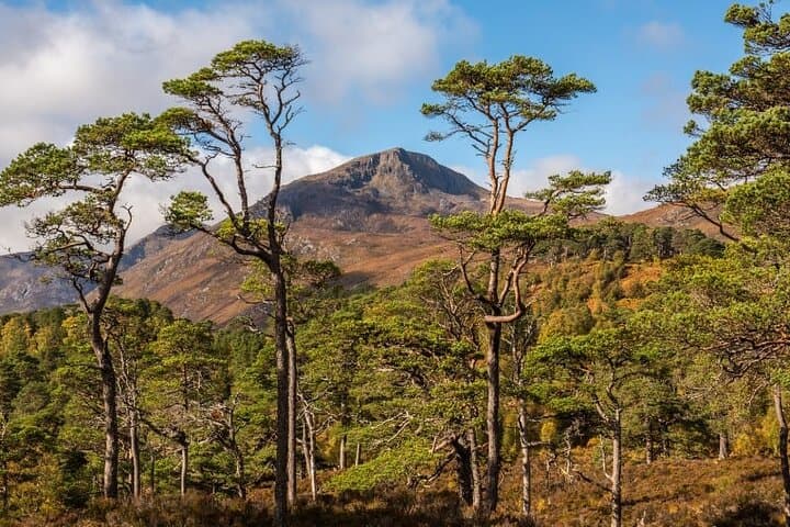 Meandering Through the Scottish Highlands: Lochs, Distilleries & Coastal Back Roads