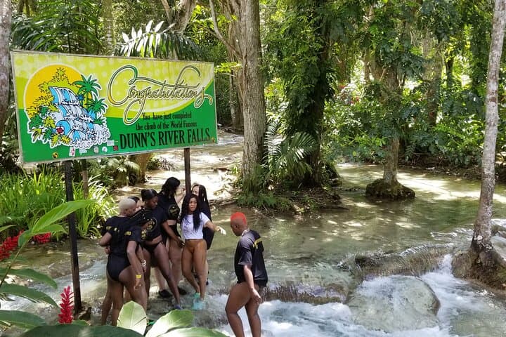 Bali-Style Swing & Dunn’s River Falls: Ocho Rios Waterfall Climb and Canopy Swing photo 5