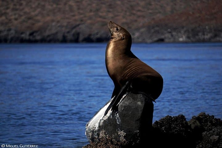 Balandra Private Boat Tour: Private La Paz Day Trip to Balandra & San Rafaelito photo 2