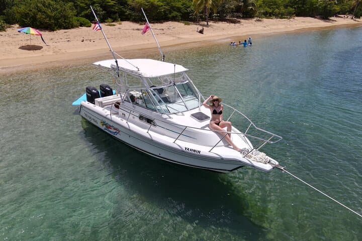 Fajardo to Culebra Full-Day Charter: Snorkel Luis Peña & Swim with Sea Turtles