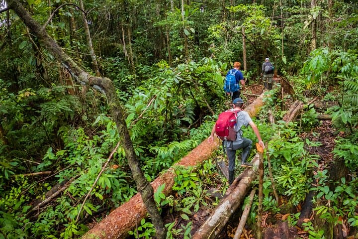 Into the Amazon: 4-Day Deep Jungle Survival Experience from Leticia