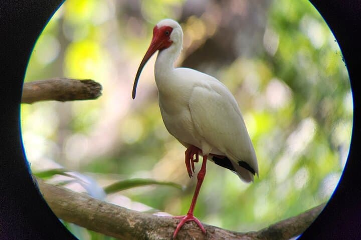 Curú Wildlife Refuge Guided Hike with Private Transport from Puntarenas photo 5