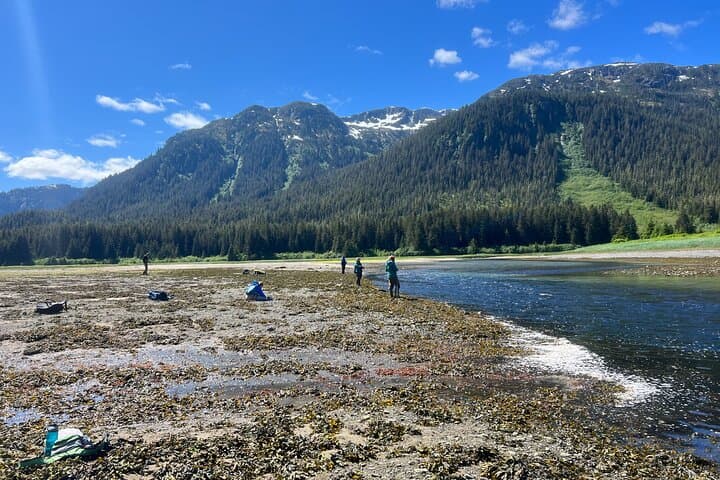 River Fishing and Bear Watching at Icy Strait Point — Salmon Runs & Brown Bears on Chichagof Island photo 6