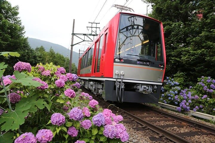 Self-Guided Hakone Day Trip from Tokyo with Hakone Free Pass & Train photo 2