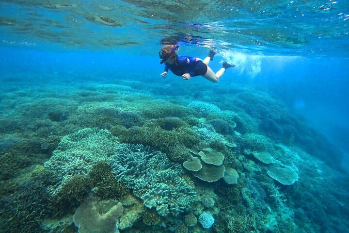 Yanbaru Kayak & Snorkel: Private Coastal Tour in North Okinawa photo 2