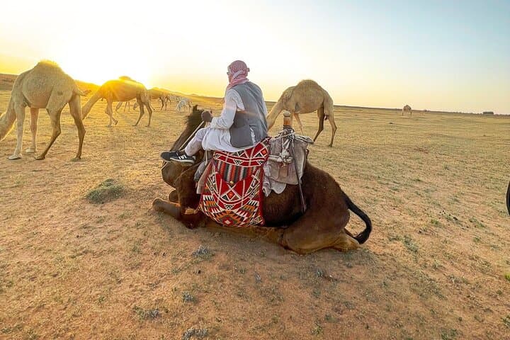 Riyadh Red Dunes Safari: Quad Bikes, Camel Rides & Sandboarding photo 4