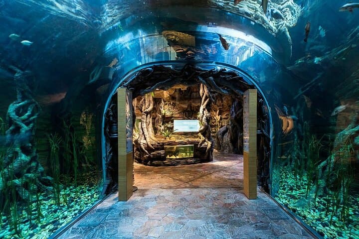 Inside The Green Planet Dubai: A Rainforest Bio‑Dome Experience at City Walk photo 3