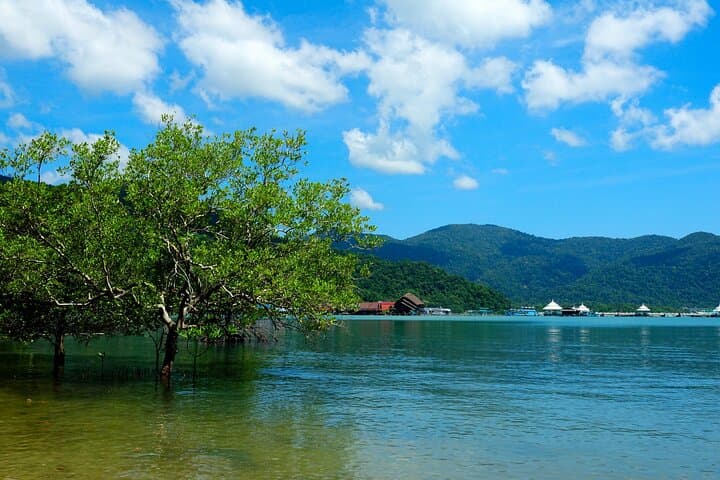 Lakawon Island Private Day Trip from Bacolod — White Sand, Floating Bars & Easy Escapes photo 5